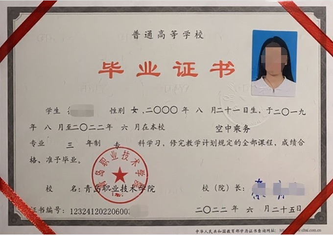 洛宁青岛职业技术学院毕业证样本图片
